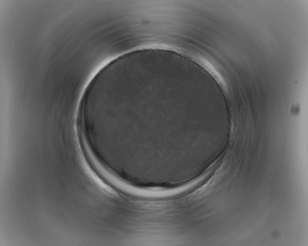 X0000094961084200711291435