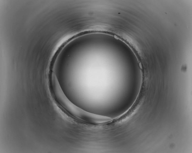 X0000094961085200711291435