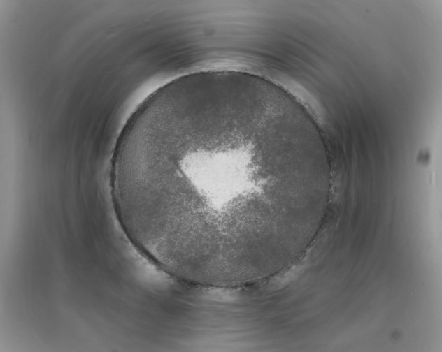 X0000094961086200711291435