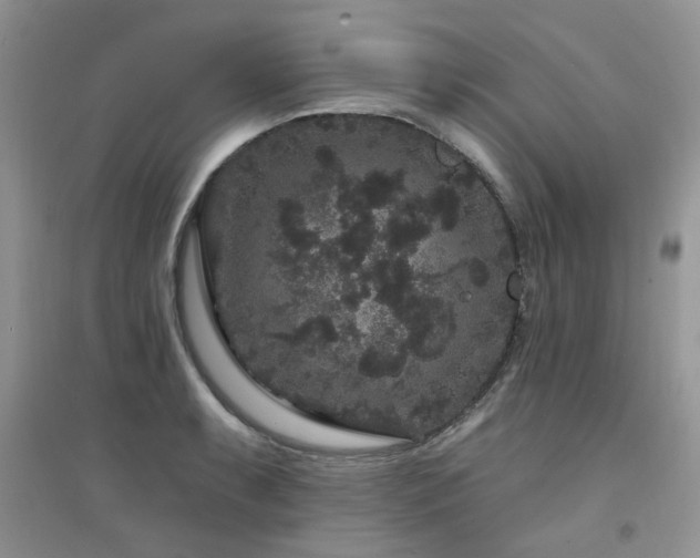 X0000094961087200711291435