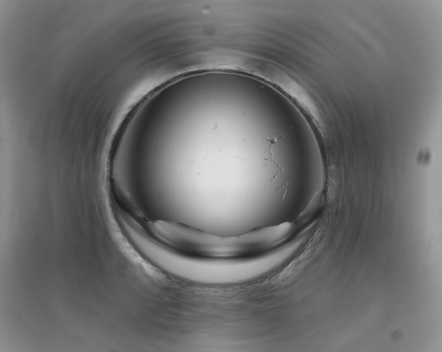 X0000094961088200711291435