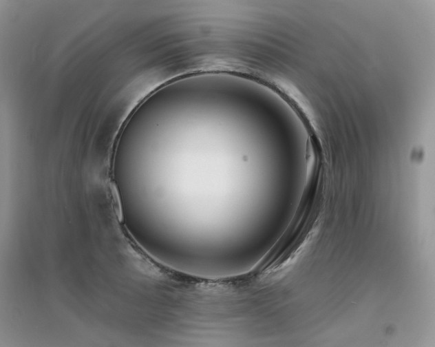 X0000094961089200711291435