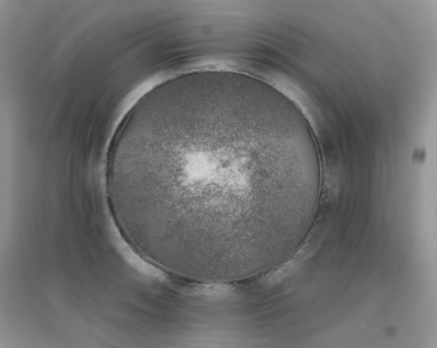 X0000094961090200711291435