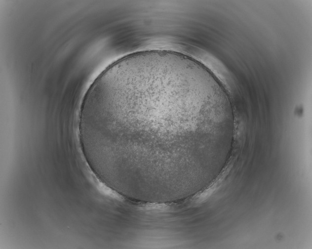 X0000094961094200711291435
