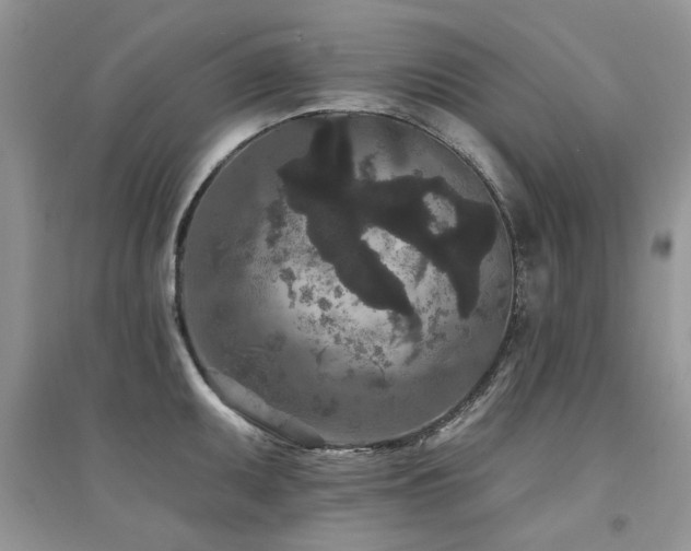 X0000094961095200711291435