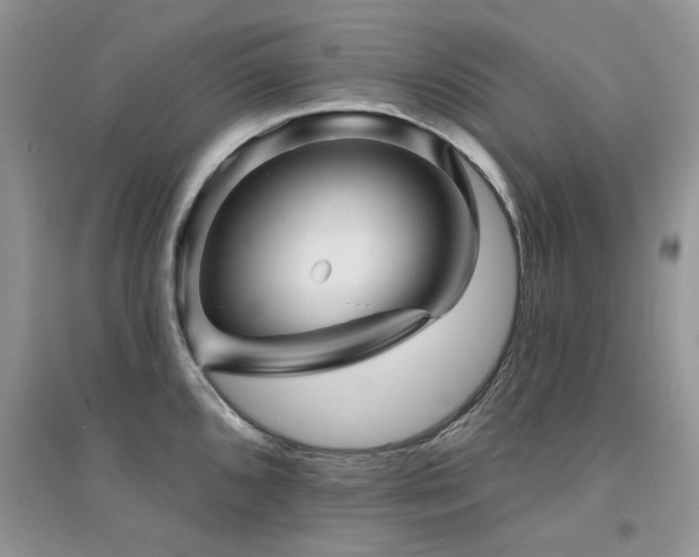 X0000094961096200711291435