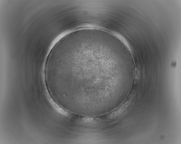 X0000094961098200711291435