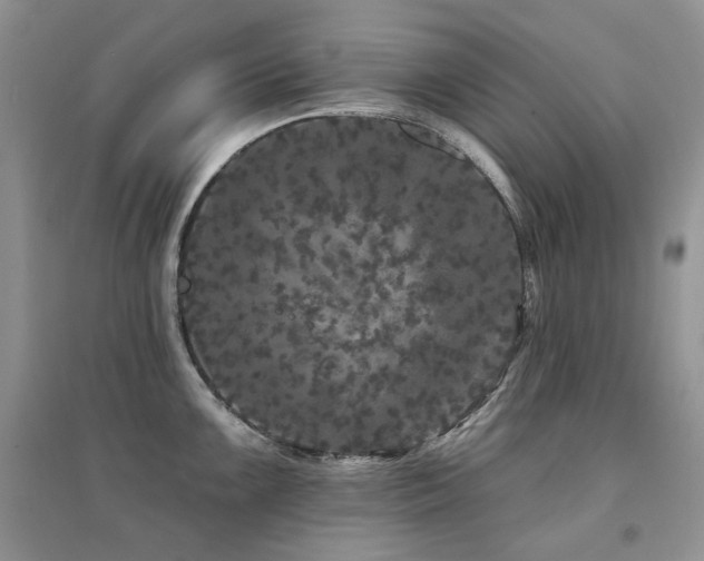 X0000094961099200711291435