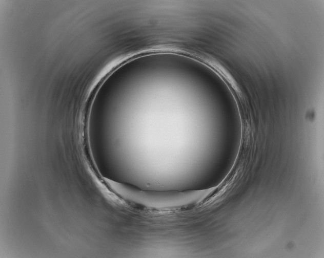 X0000094961101200711291435