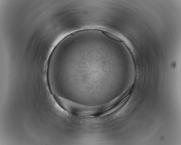 X0000094961102200711291435