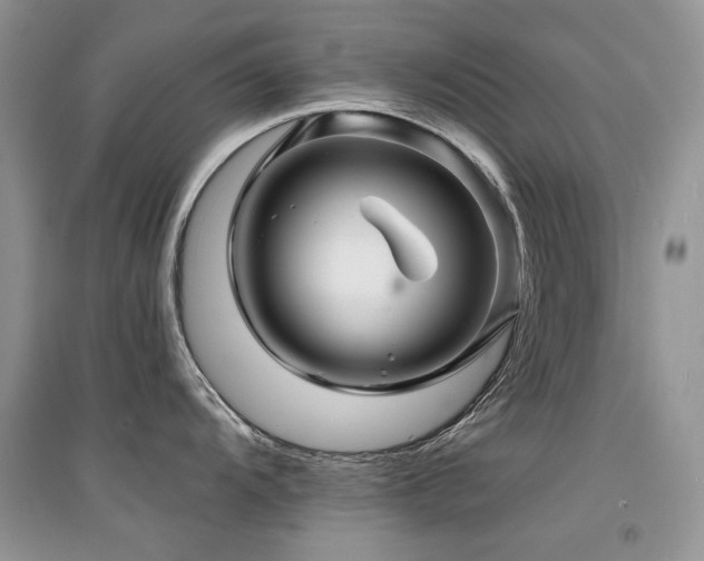 X0000094961104200711291435