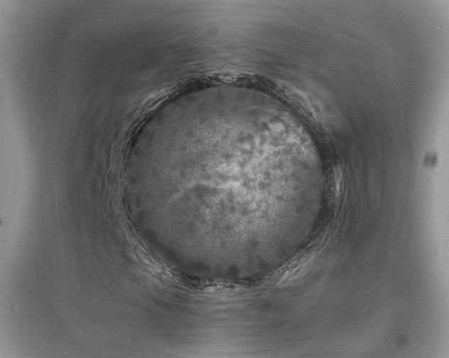 X0000094961105200711291434