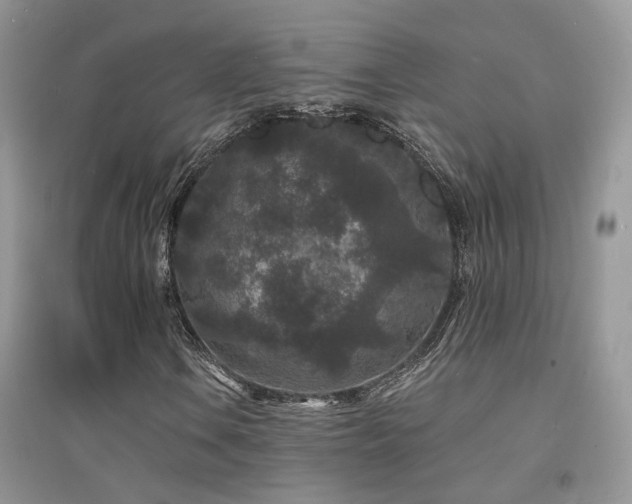 X0000094961106200711291434