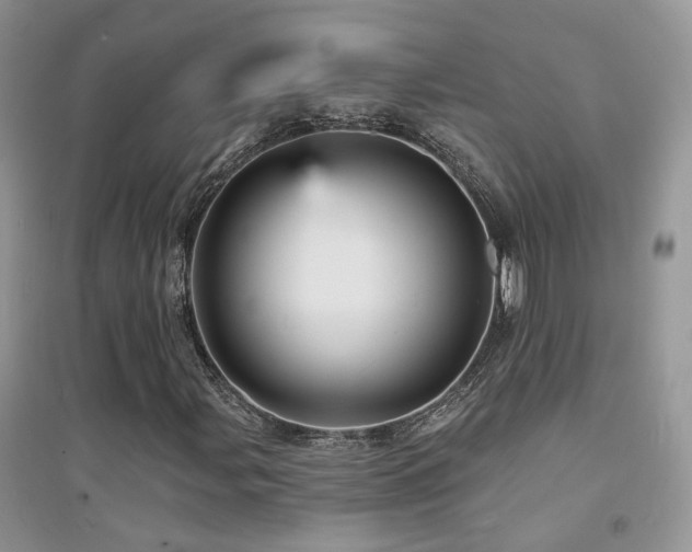 X0000094961107200711291434