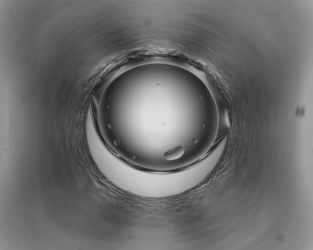 X0000094961110200711291434
