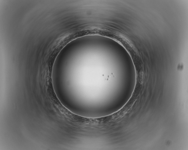 X0000094961111200711291434