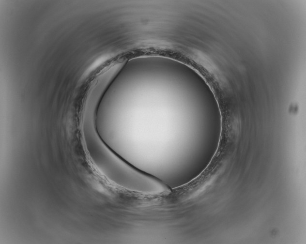 X0000094961112200711291434