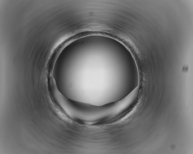 X0000094961114200711291434