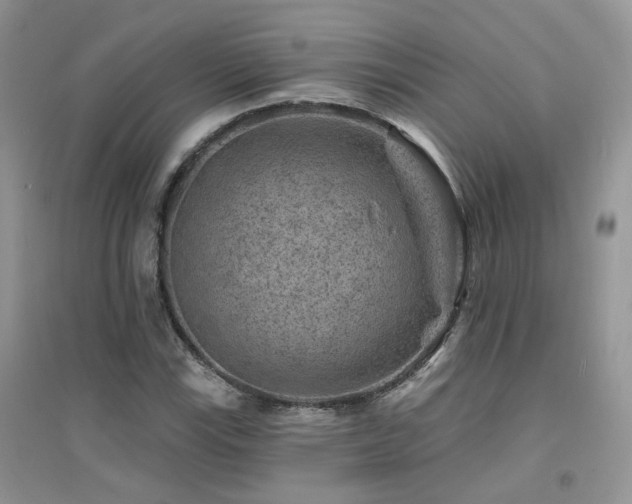X0000094961115200711291434
