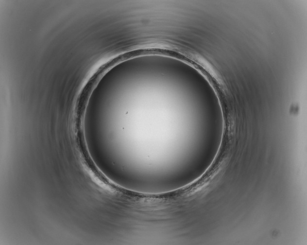 X0000094961116200711291434