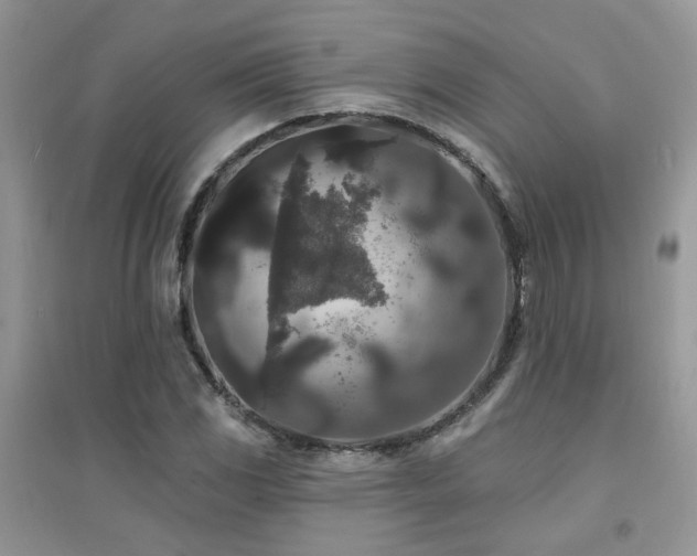 X0000094961117200711291434