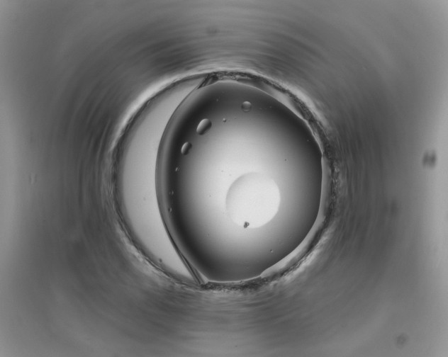 X0000094961118200711291434