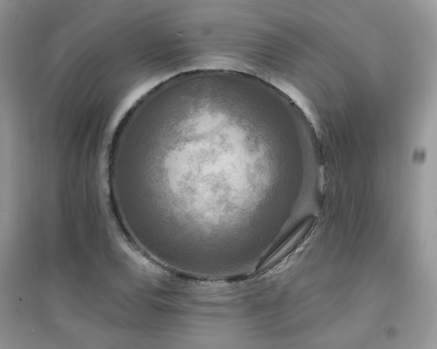 X0000094961120200711291434