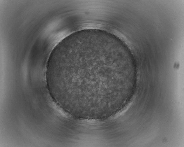X0000094961121200711291434