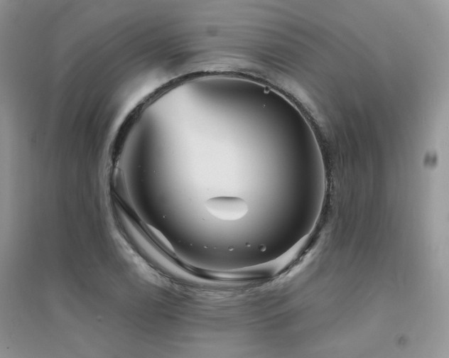 X0000094961122200711291434