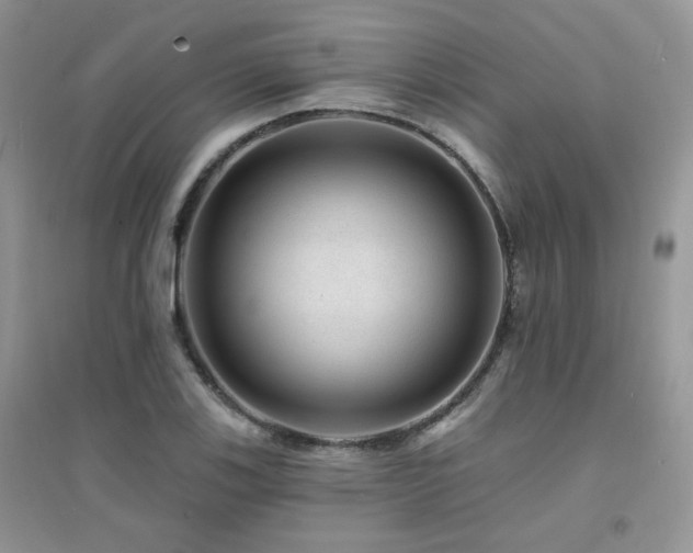 X0000094961123200711291434