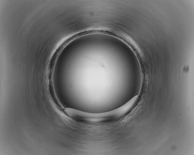 X0000094961124200711291434