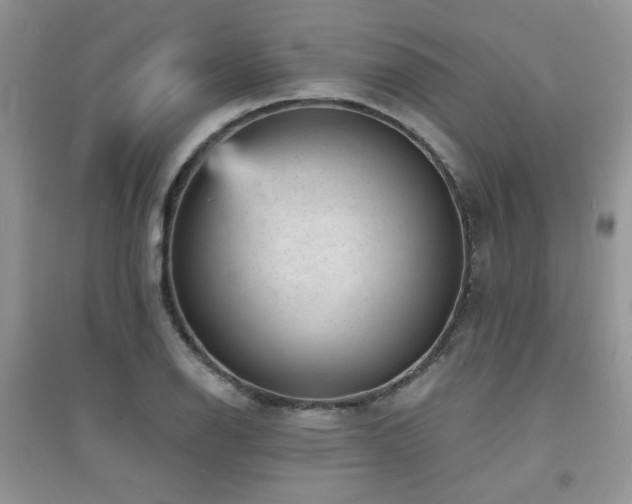 X0000094961126200711291434