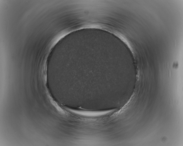 X0000094961127200711291435