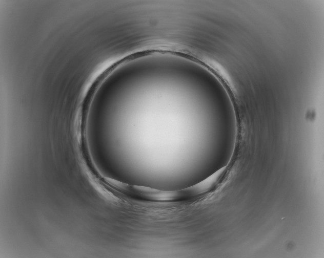 X0000094961128200711291435