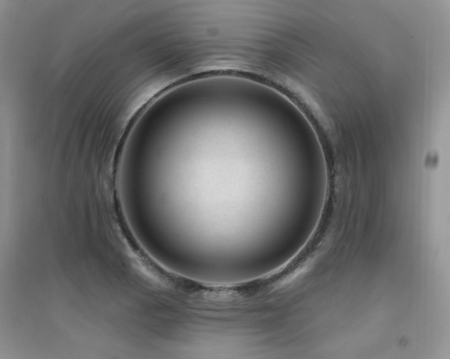 X0000094961129200711291435