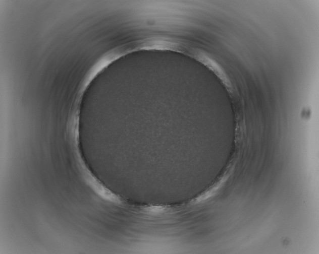 X0000094961130200711291435