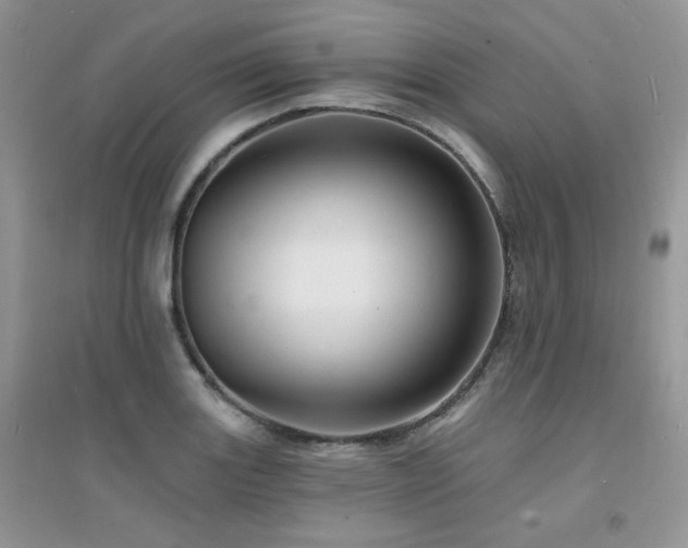X0000094961131200711291435