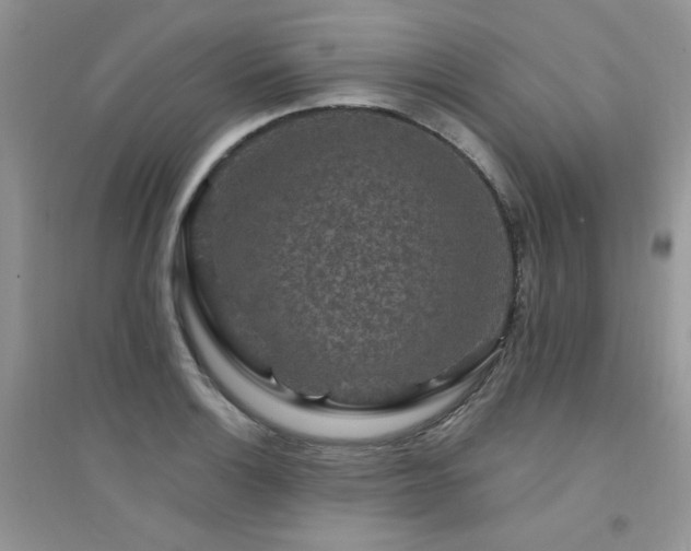 X0000094961132200711291435