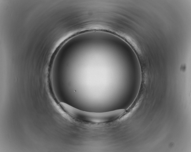 X0000094961134200711291435