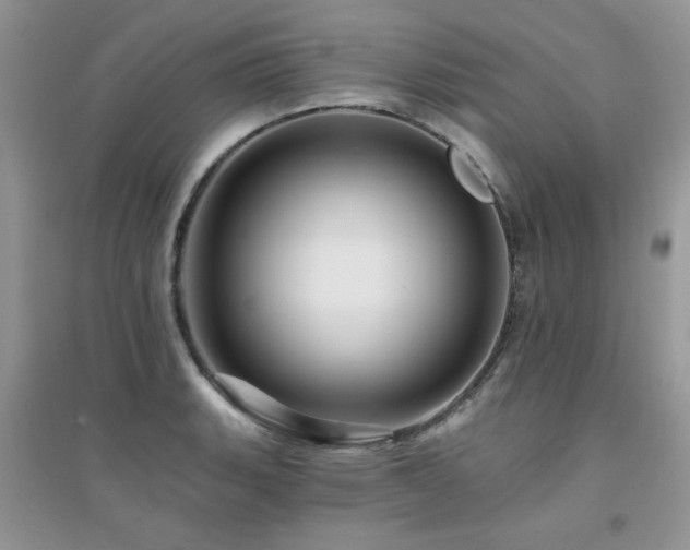 X0000094961135200711291435
