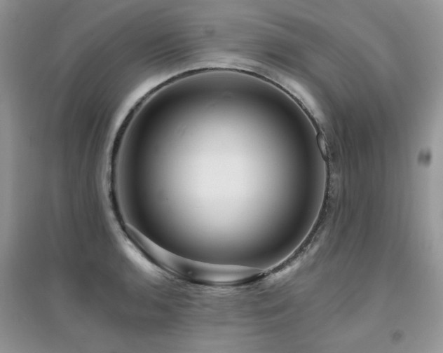 X0000094961136200711291435