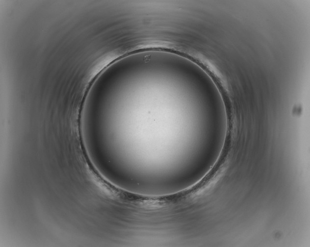 X0000094961137200711291435