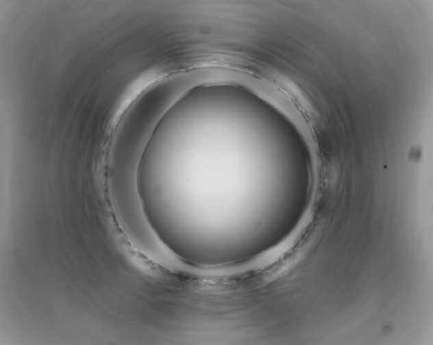 X0000094961138200711291435