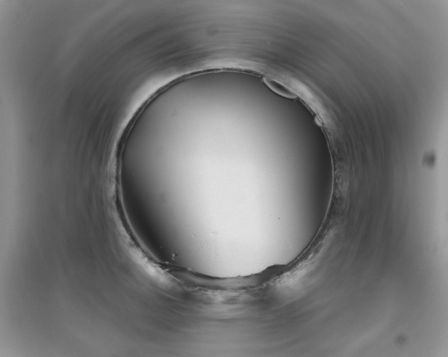 X0000094961140200711291435