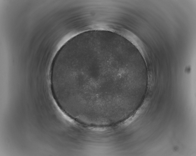 X0000094961141200711291435