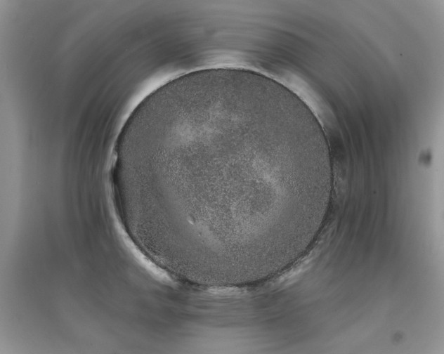 X0000094961142200711291435