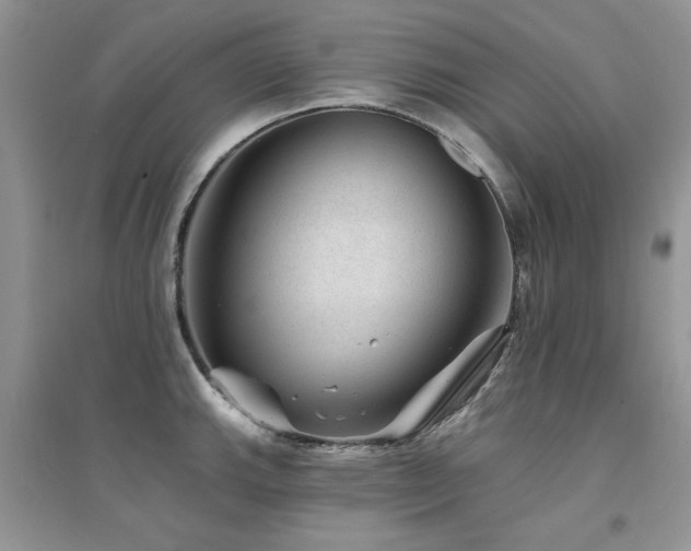 X0000094961143200711291435