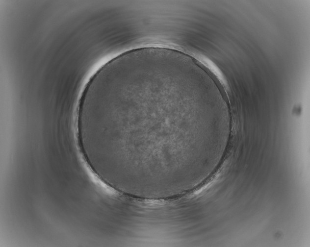 X0000094961144200711291435