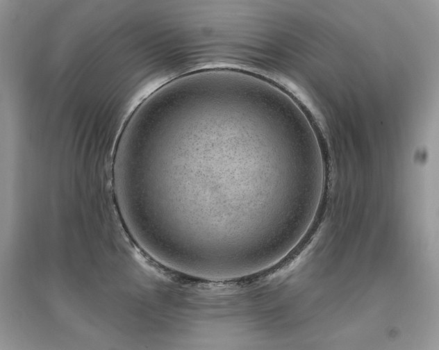 X0000094961145200711291435