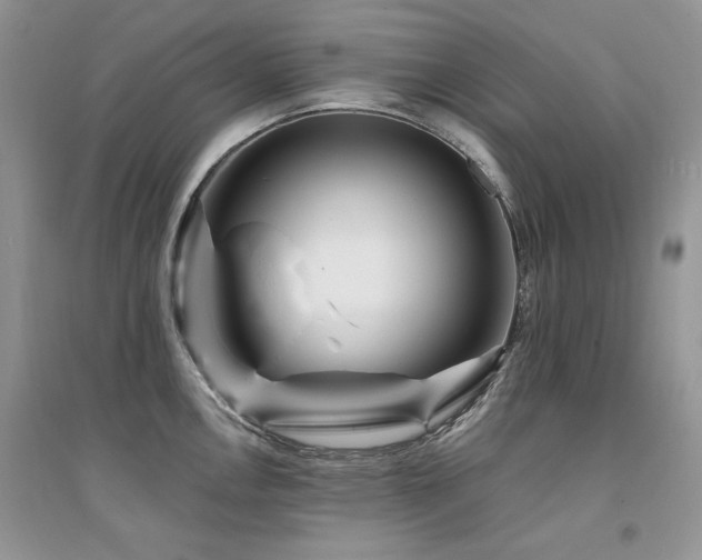 X0000094961146200711291435